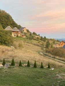 ein Haus an der Seite eines Hügels mit Bäumen in der Unterkunft Planinska kuća Zavet in Timotijevići + 18 Fotos