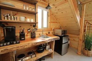 eine Küche mit einem Waschbecken in einer Holzhütte in der Unterkunft Treetop #9 at East Zion Resort in Orderville
