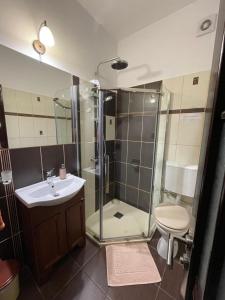 Un baño con ducha de cristal y lavabo. en Montana, en Suceviţa 30 fotos más