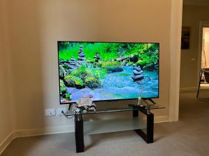 TV a/nebo společenská místnost v ubytování Foresteria Anguissola Rooms