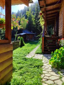 a stone path next to a house with a yard at Садиба На скелі in Krivorovnya +55 photos