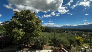 a tree on a hill with a view of a town at Dimora Ippocastano in Colli al Volturno