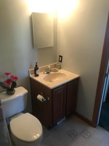 a bathroom with a white toilet and a sink at 3 guest rooms 2 shared baths in Milford +48 photos