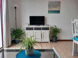 een woonkamer met een tv en een aantal planten bij La rosa, vivienda vacacional in Breña Baja
