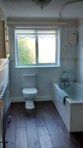 a bathroom with a toilet and a tub and a window at Angate Cottage in Wolsingham