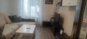 a living room with a couch and a table at Modesto piso turístico in Briviesca