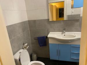 a bathroom with a white toilet and a sink at MJ Apartment Complex in Sanchaba
