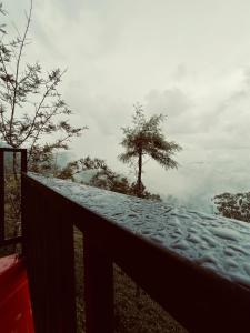 Paesaggio naturale nelle vicinanze dell'affittacamere
