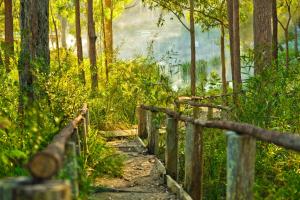 un sentiero in legno in una foresta con una recinzione di Kianinny Bush Cottages a Tathra