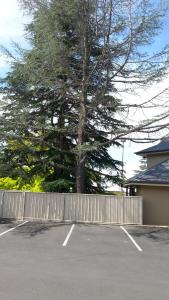 Gallery image of Armidale Pines Motel in Armidale