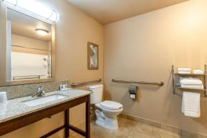 Bagno di Comfort Inn & Suites Boulder