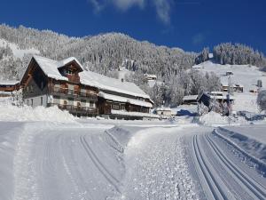 Chalet in Sibratsgfäll near Ski Slopes durante l'inverno