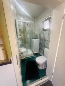 a small bathroom with a toilet and a sink at Căsuța din povești in Oradea