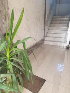 Billede fra billedgalleriet på Small cute doublebed room A4 in Pančevo i Pančevo