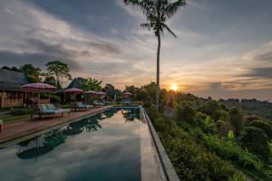 a pool at a resort with a palm tree at Umah Lusa in Munduk