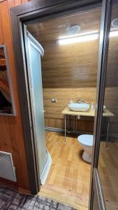 un baño con inodoro y lavabo en Кафе-тратторія Городище, en Nadvirna