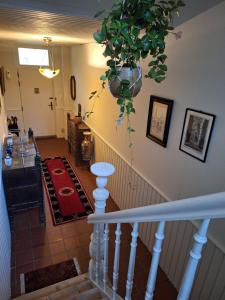 Fotografie z fotogalerie ubytování B&B De Lelie v destinaci Schoten