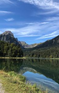 Příroda nedaleko apartmánu + 2 fotografie