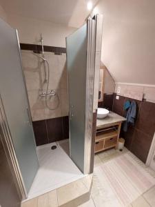 a shower with a glass door in a bathroom at Confort entre lac et montagne in Tresserves +12 photos