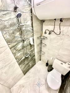 a bathroom with a toilet and a shower at PANORAMA APARTMENT in Montana