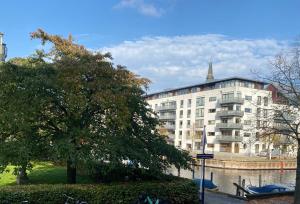 un grande edificio accanto a un fiume con un albero di Canal view a Copenaghen