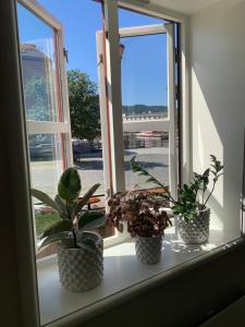 Fotografie z fotogalerie ubytování Brygga B&B Trondheim sentrum, privat rom i vårt hjem v destinaci Trondheim