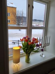 Fotografie z fotogalerie ubytování Brygga B&B Trondheim sentrum, privat rom i vårt hjem v destinaci Trondheim