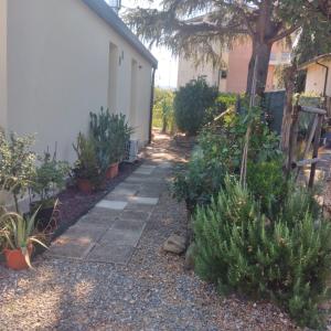 Vrt pred nastanitvijo Camera a Sud