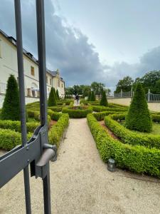 widok na ogród z krzakami i drzewami w obiekcie Kovarik Apartments I w Ołomuńcu