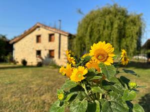 A garden outside El llagar - Sagasta Rural Oviedo
