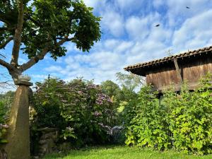 A garden outside El llagar - Sagasta Rural Oviedo