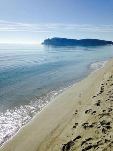 a beach with footprints in the sand and the water at Ibiscus apartment in Cagliari