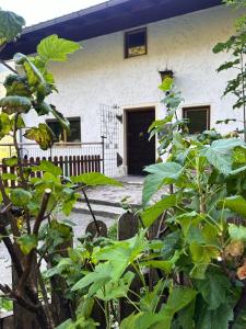 Galeriebild der Unterkunft Haus Gratz in Bach