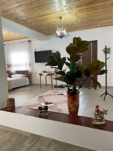 a living room with a vase with a plant on a table at Georgemishel Guest House in Berat