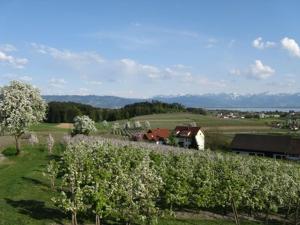 a farm with a field of apple trees and a barn at Landhaus Erben in Wasserburg am Bodensee