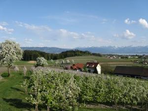 einen Bauernhof mit einem Feld aus Apfelbäumen und einer Scheune in der Unterkunft Landhaus Erben in Wasserburg