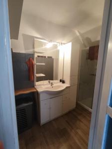 ein Badezimmer mit einem weißen Waschbecken und einer Dusche in der Unterkunft Maison Familiale à la Montagne in Soulom