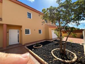 a house with a tree in front of it at Casa Tortuga in Tarajalejo