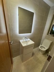 a bathroom with a toilet and a sink and a mirror at Taobh na Farraige in Belmullet +14 photos