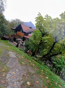 Příroda nedaleko prázdninového domu