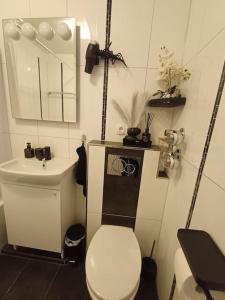een kleine badkamer met toilet en wastafel bij Busch Apartment im Zentrum in Bad Harzburg