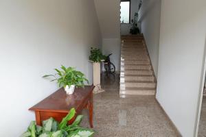 a hallway with stairs and a table with potted plants at Affitti Brevi Monte Cairo in Piedimonte San Germano