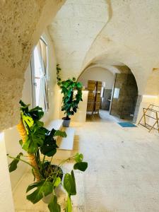 a living room with plants in a room with a ceiling at Al Palazzotto in Fasano +50 photos