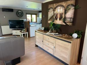 Televiisor ja/või meelelahutuskeskus majutusasutuses Veluwe Park Reewold Chalet Infinity