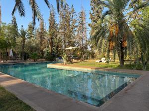 a swimming pool in a resort with palm trees at Riad shéhérazade Marrakech in Marrakesh