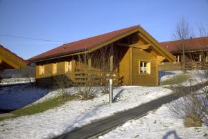 a house with snow in front of it at Blockhaus Bayerischer Wald Chalet 2 in Stamsried +10 photos