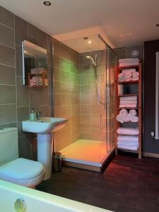 a bathroom with a shower and a toilet and a sink at No3 By The Sea a 5 Star Cozy Coastal Cottage in Saint Monance