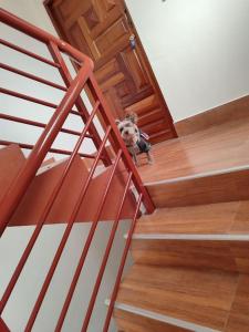 Fotografie z fotogalerie ubytování Departamento en Ciudad Satélite, cerca del Aeropuerto v destinaci Allpacoma