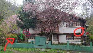 Κήπος έξω από το Cabaña las florcitas