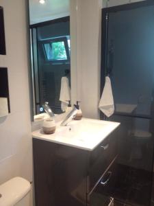 a bathroom with a sink and a mirror and a toilet at Charmant Studio indépendant in Louvres +18 photos
